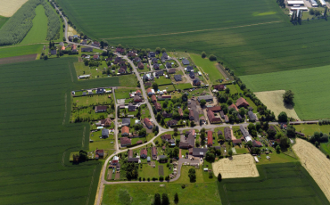 Nový článek