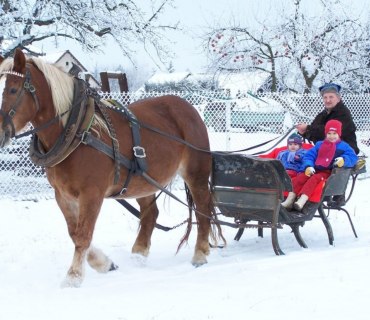 Zimní radovánky  17.1.2009