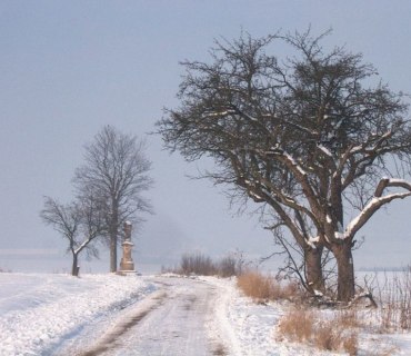 Svatý František 11.1.2009